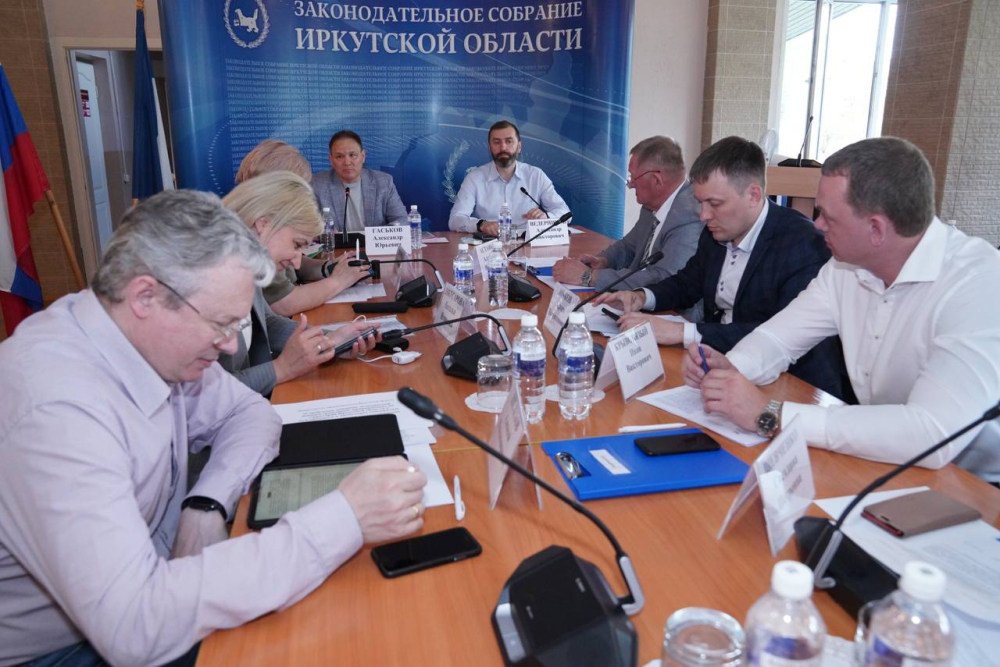 Депутаты ЗакСобрания рекомендовали минздраву региона усовершенствовать дорожную карту по развитию сети гемодиализных центров﻿ 
