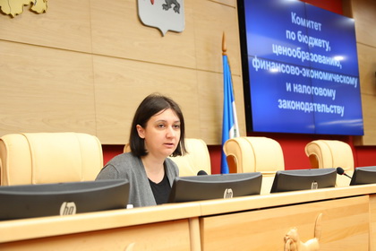 Законопроекты о корректировке областного бюджета и о льготах для предпринимателей рассмотрели на профильном комитете