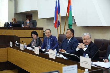 Актуальные проблемы в здравоохранении обсудили на организованном Заксобранием совещании в Братске