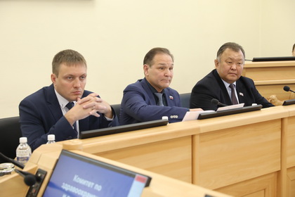 Комитет по здравоохранению рассмотрел доклад омбудсмена о соблюдении прав граждан на медицинскую помощь