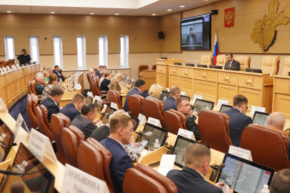 Состояние системы дополнительного образования детей обсудили в Заксобрании Иркутской области