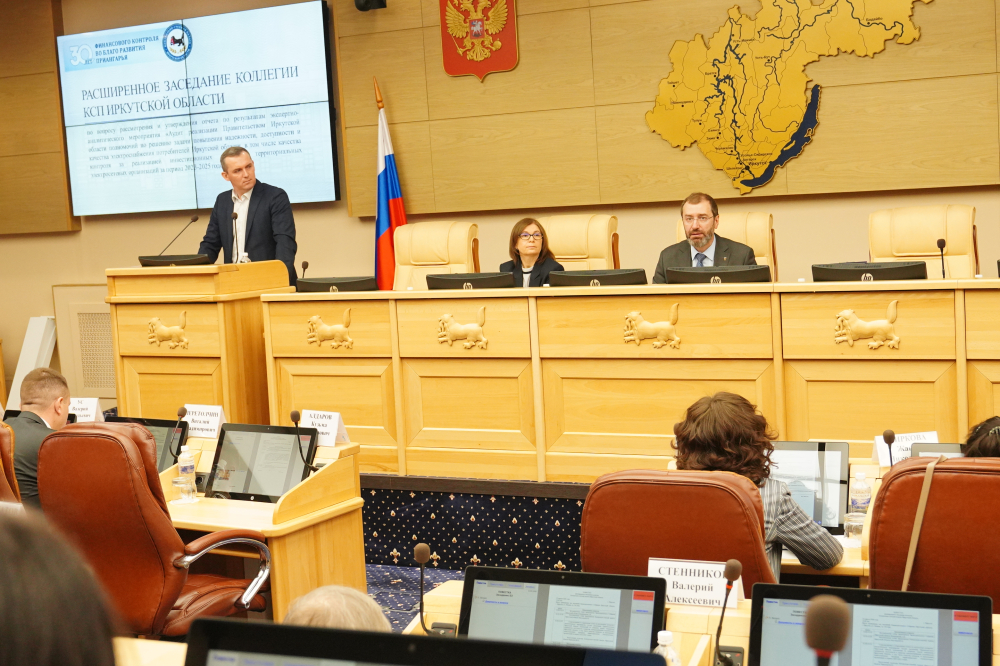 Эффективность управления электроснабжением в Иркутской области обсудили в Заксобрании